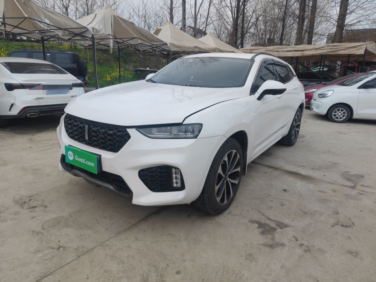 Parte inferior delantera