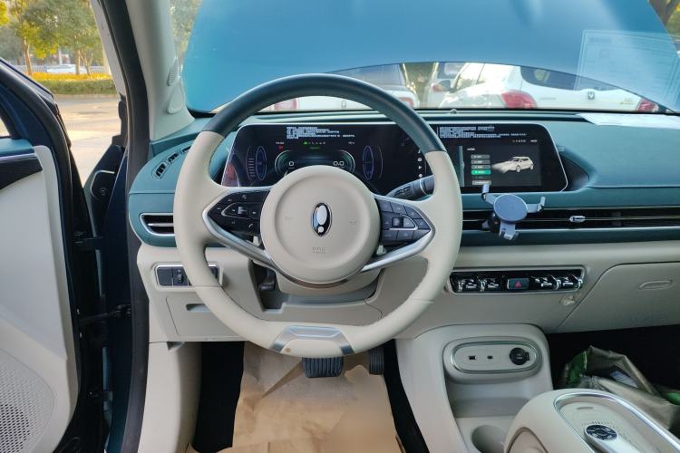 Used ORA Good Cat 2023 401 km Standard Range Luxury Version Lithium Iron Phosphate
