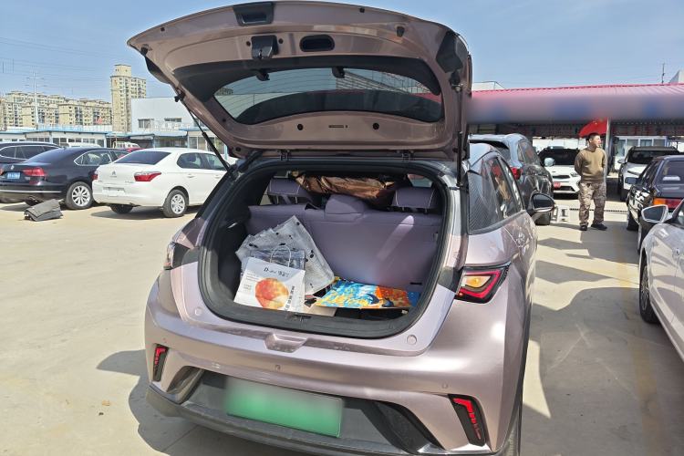 Used BYD Dolphin 2021 401km Knight Edition