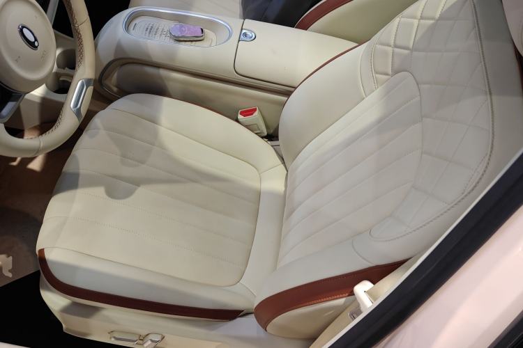 Used ORA Good Cat 2024 501 km Luxury Version