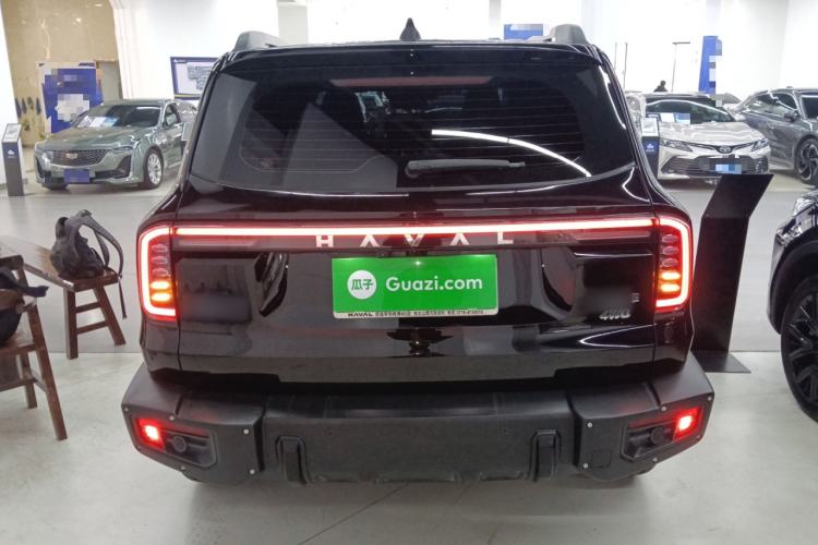 Used Haval DARGO 2024 2.0T DCT Chinese Rural Dog Edition
