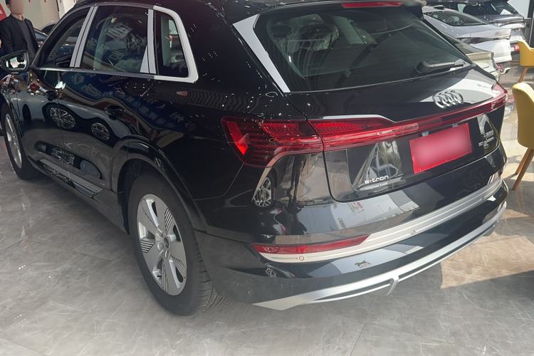 Used Audi e-tron 2021 50 quattro Luxury Edition Exterior 5