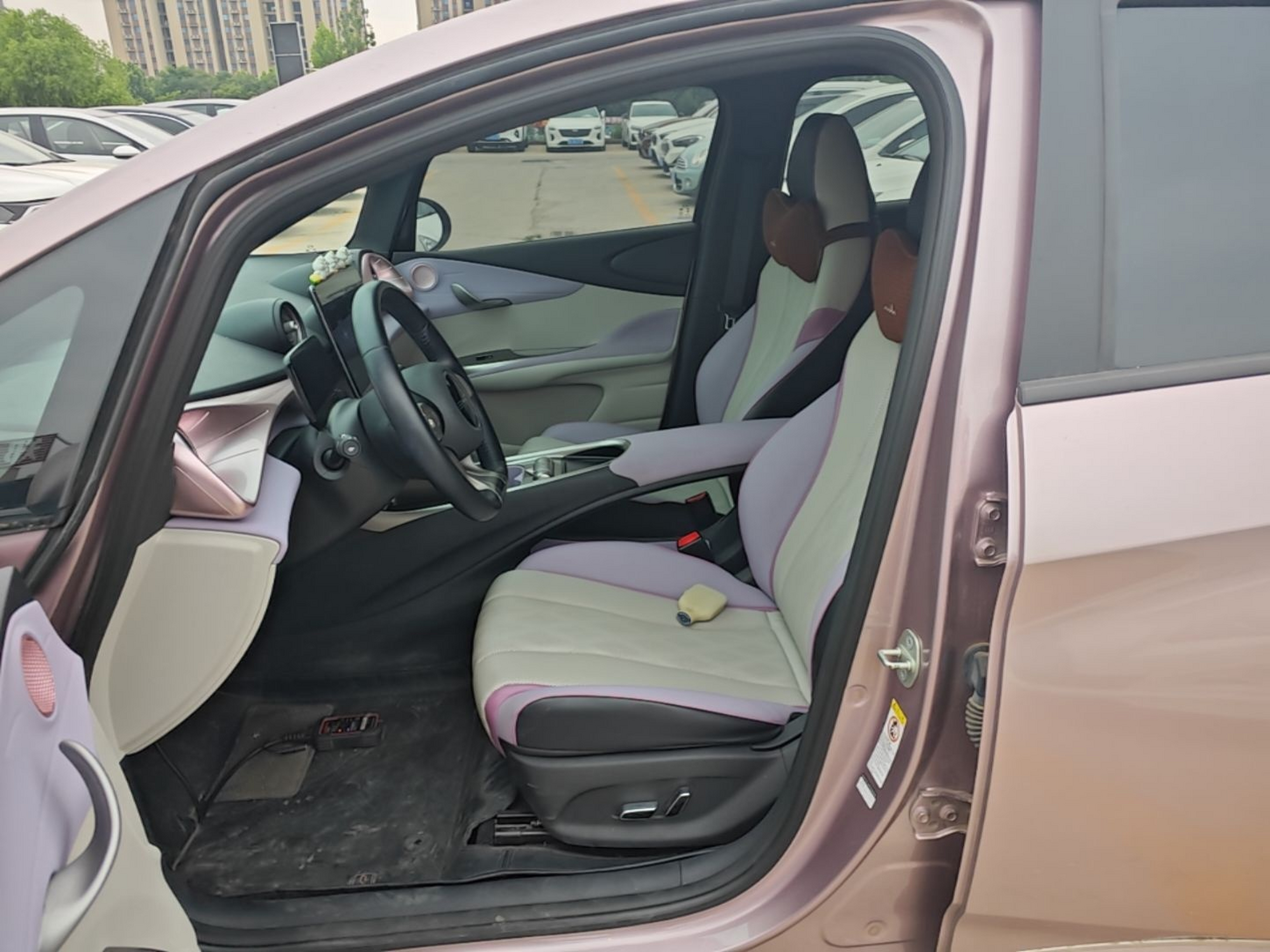 Interior delantero