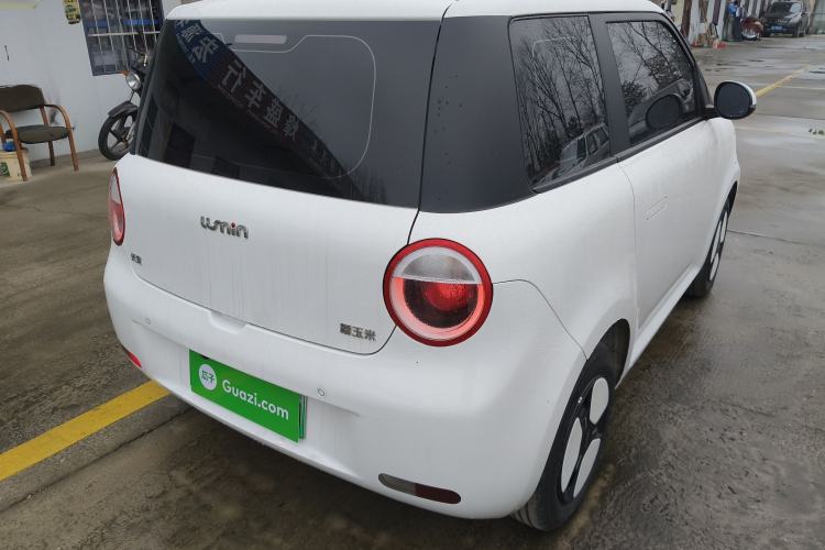 Used Qiyuan Lumin 2023 205km Xiangqin Version