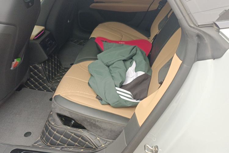 Used Lotus EMEYA 2024 EMEYA S+ Left Rear Seat