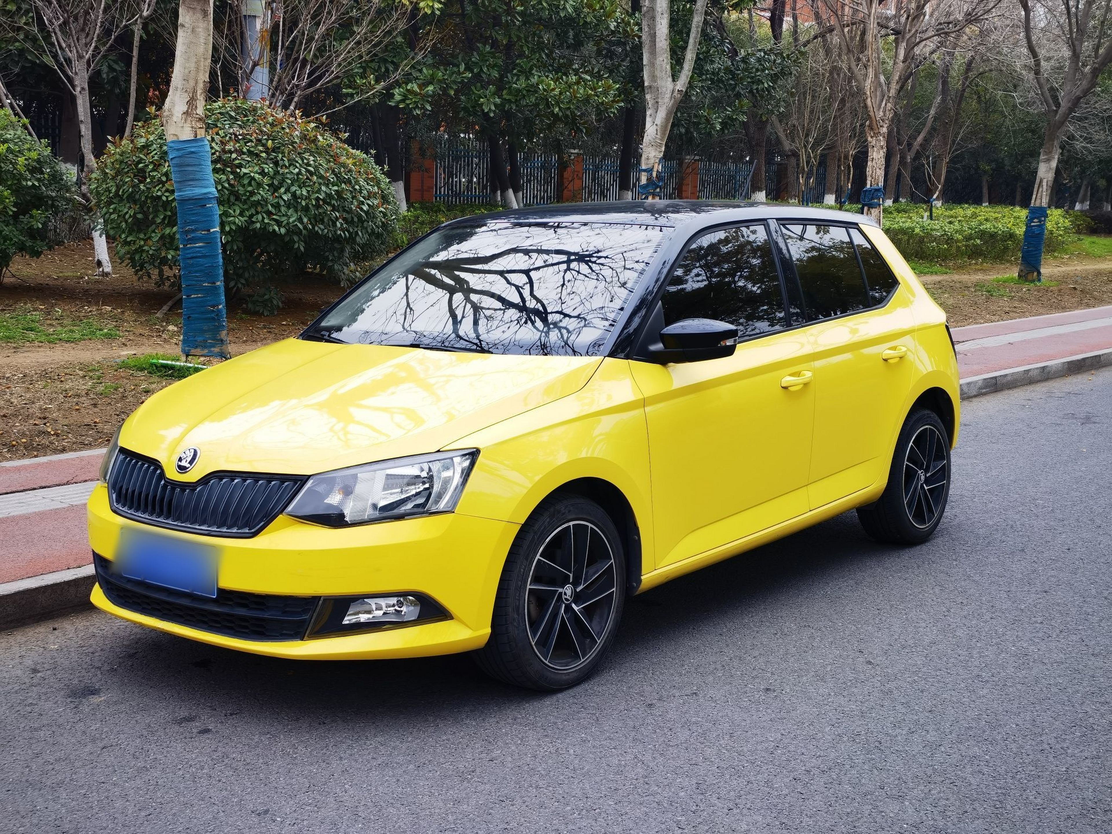 Parte inferior delantera