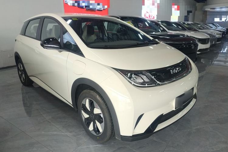 Used BYD Dolphin 2025 420km Free Edition
