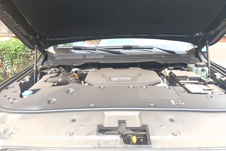 Used Tank 500 New Energy 2026 Model—Hi4-T Smart Enjoyment Version
