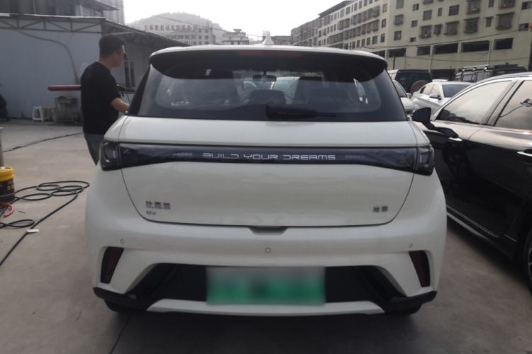 Used BYD Dolphin 2025 420km Free Edition Rear