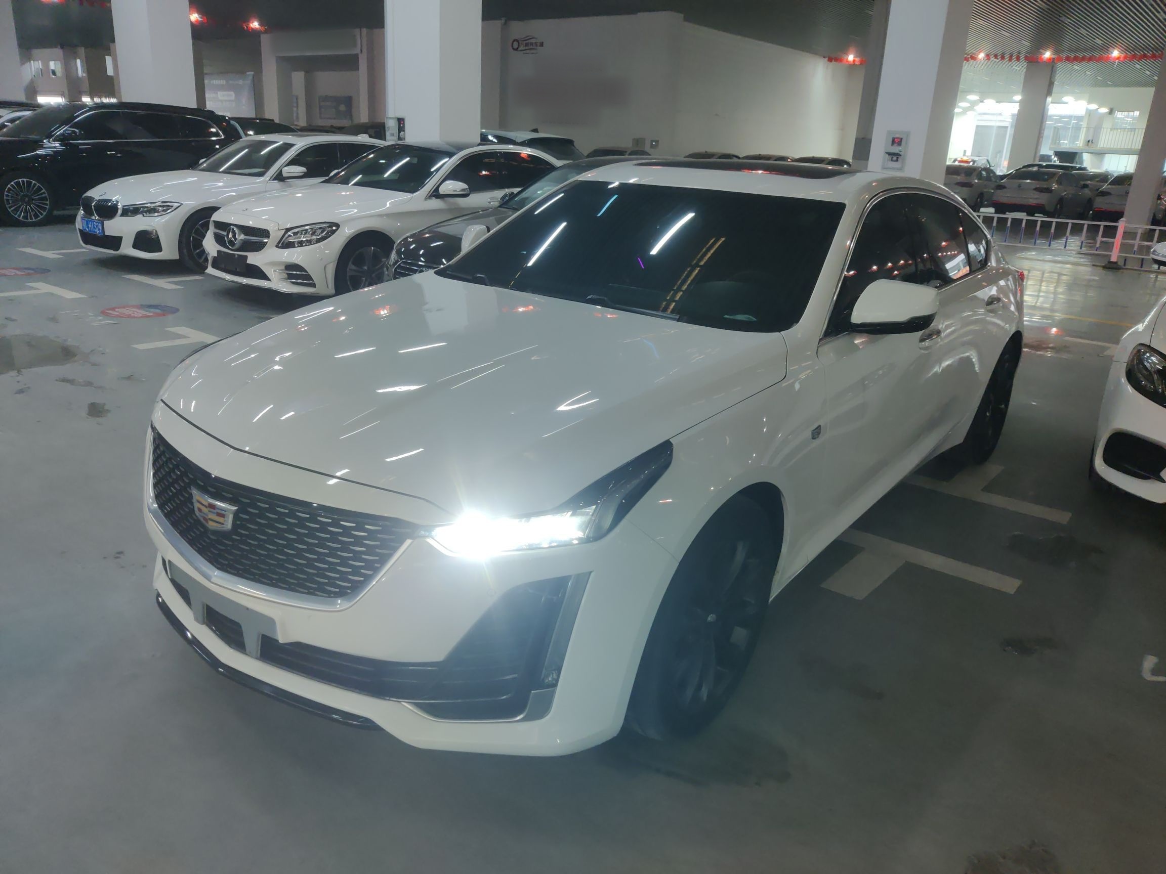 Parte inferior delantera