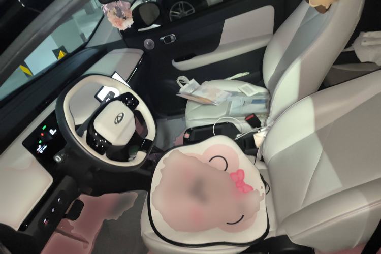 Used Chery Little Ant 2024 Facelifted 321km Beloved Edition Left Front Seat