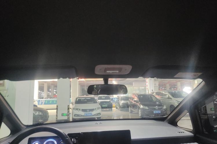 Used AION Y 2022 70 Enjoyment Edition Lithium Iron Phosphate