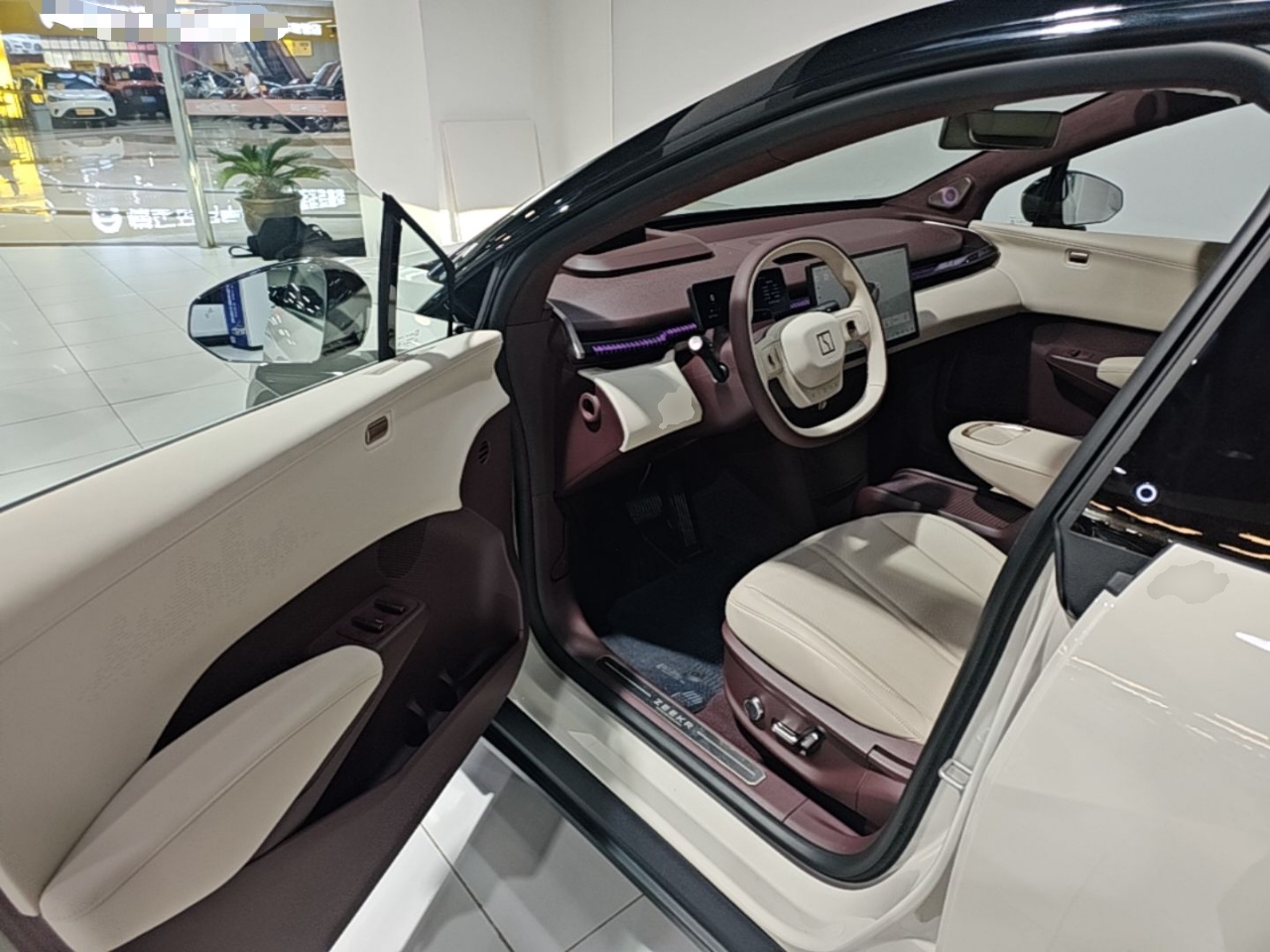 Zeekr X 2023 Rear-Drive YOU Edition 4 Seats — снимка 18