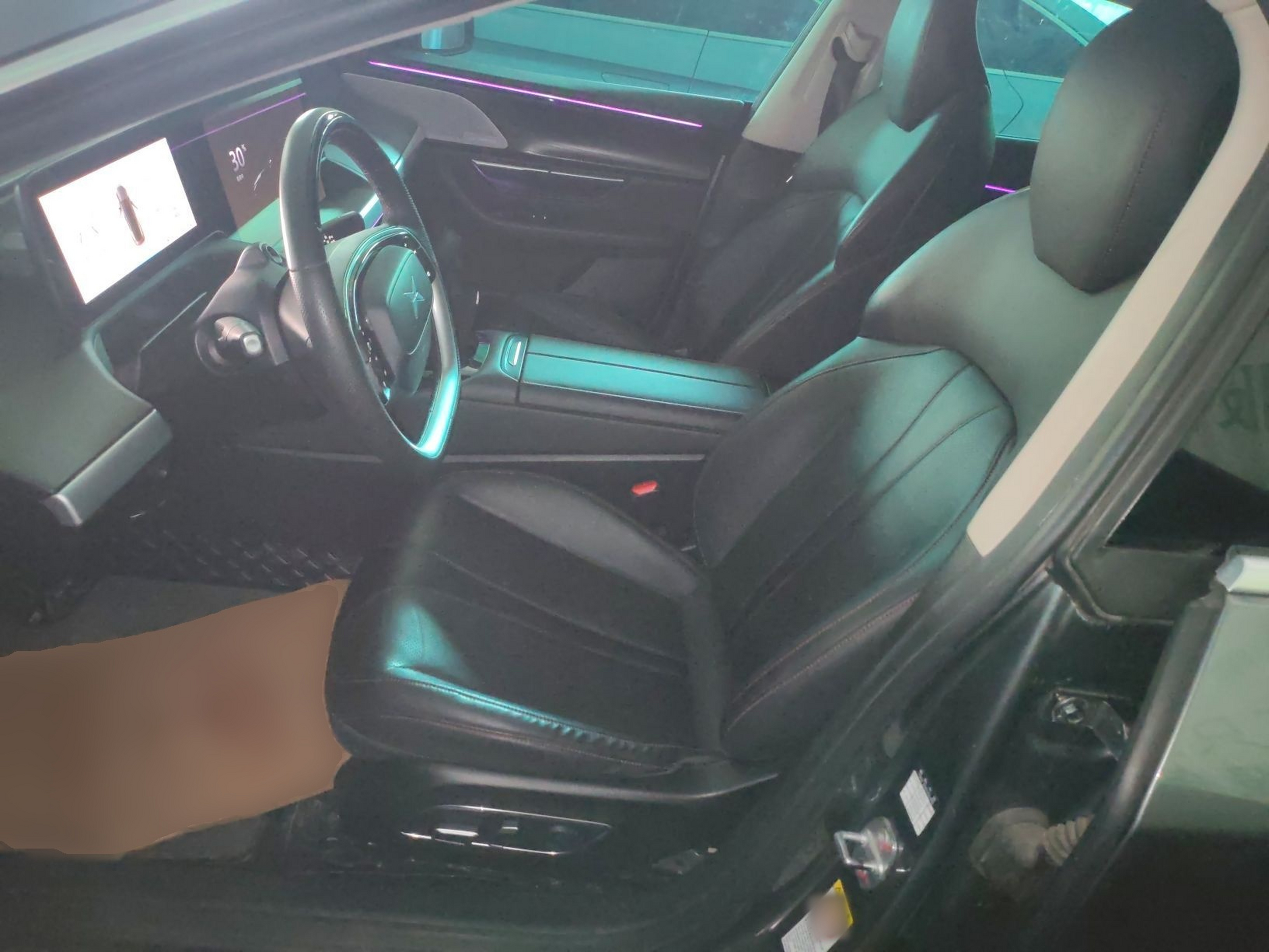 Interior delantero