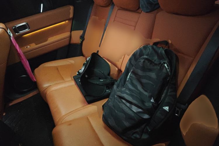 Used Li Auto L6 2024 Max Left Rear Seat