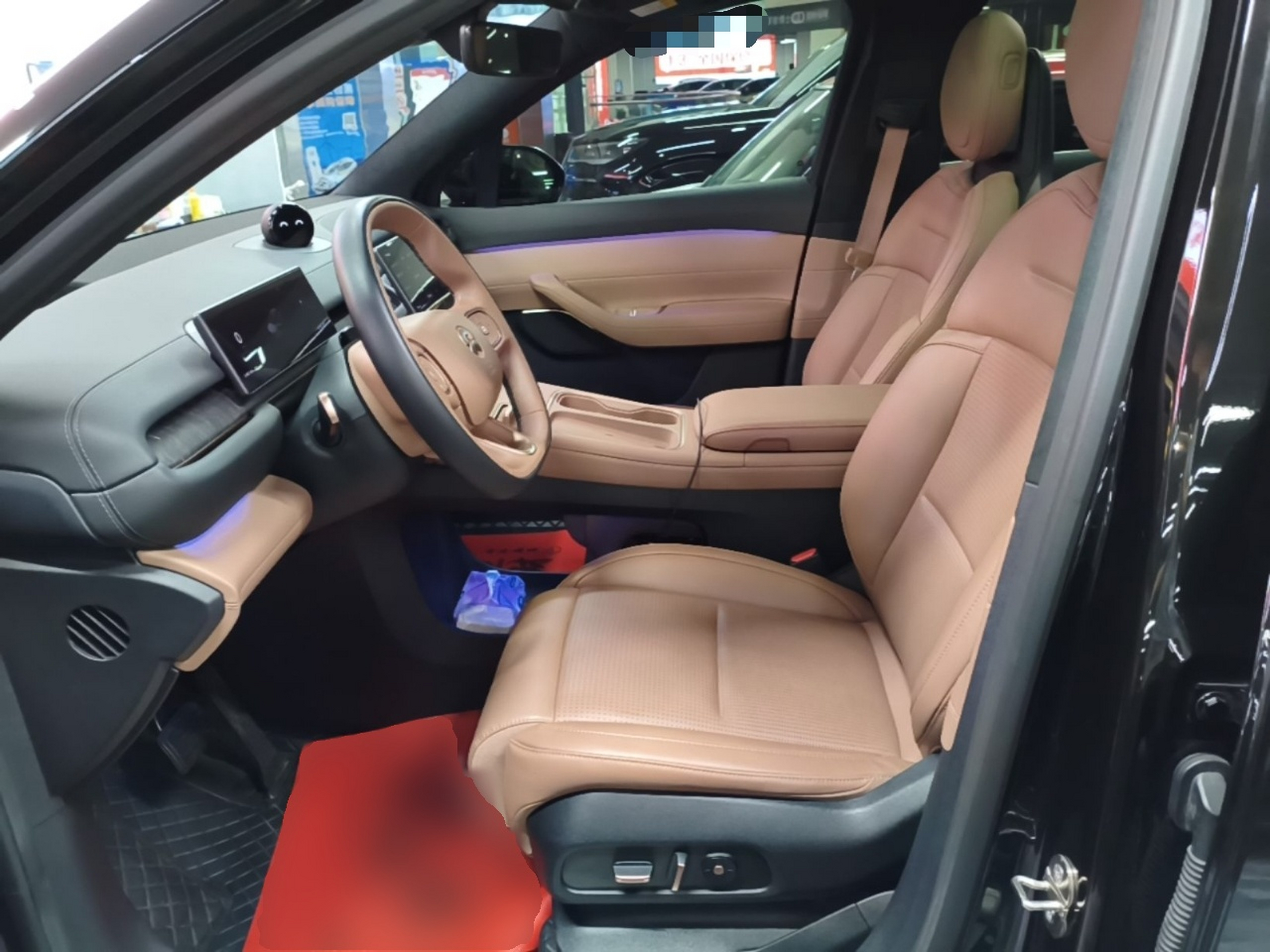 Interior delantero