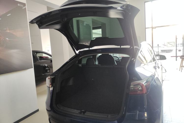 Used Tesla Model Y 2021 Long-Range All-Wheel-Drive Version 3D7
