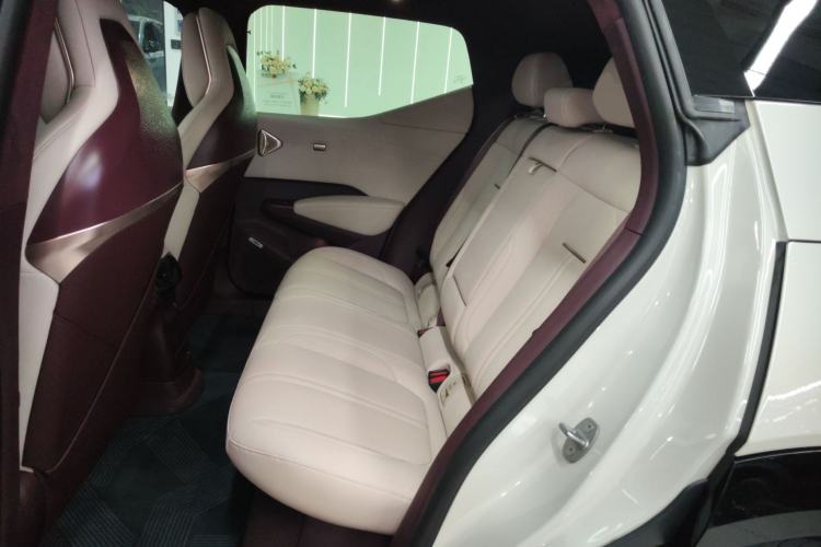 Used Zeekr X 2025 5-Seater Rear-Drive Version
