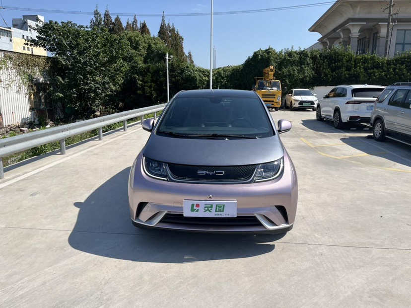 BYD Dolphin 2021 405 km Fashion Edition — снимка 15
