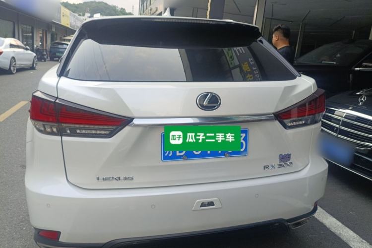 Used Lexus RX 2021 300 Four-Wheel Drive Special Edition Rear