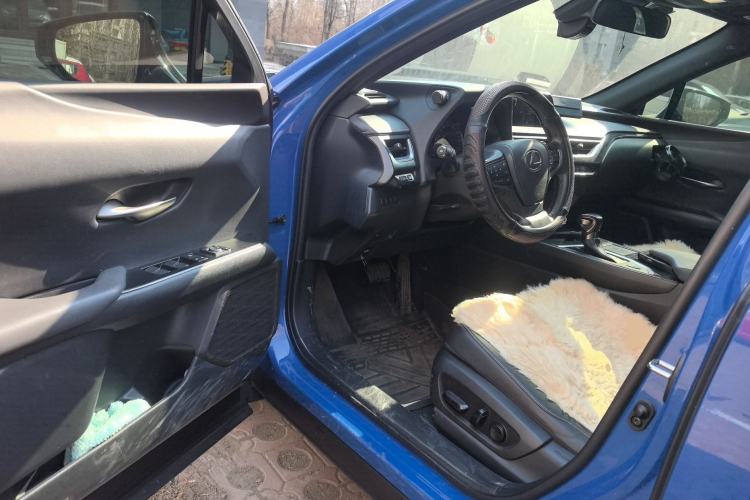 Used Lexus UX 2020 260h Explore & Adventure Edition
