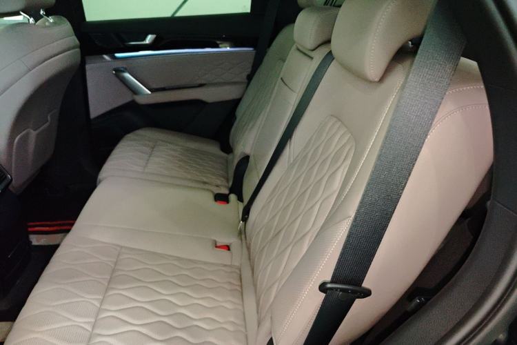 Used BYD Tang New Energy 2025 Intelligent Driving Version DM-i 115KM Flagship Edition Left Rear Seat