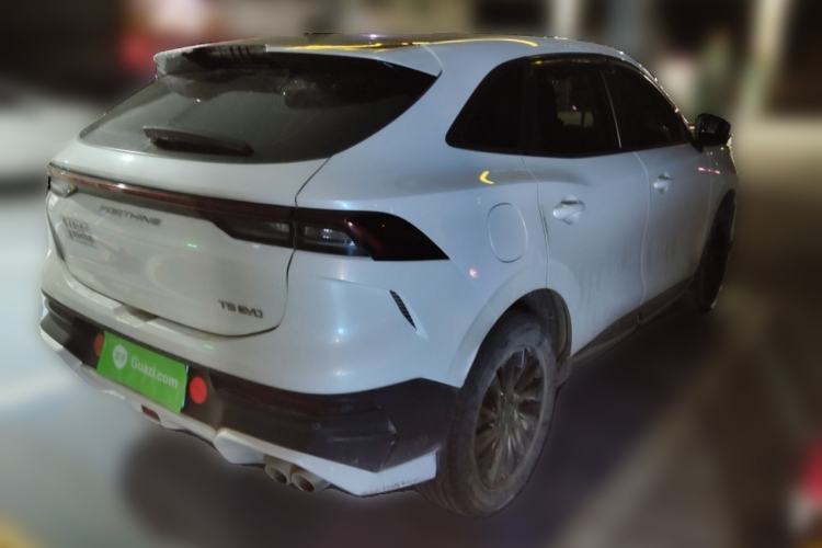 Used FORTHING T5 EVO 2024 Kungbiao Edition 1.5TD DCT Platinum Model
