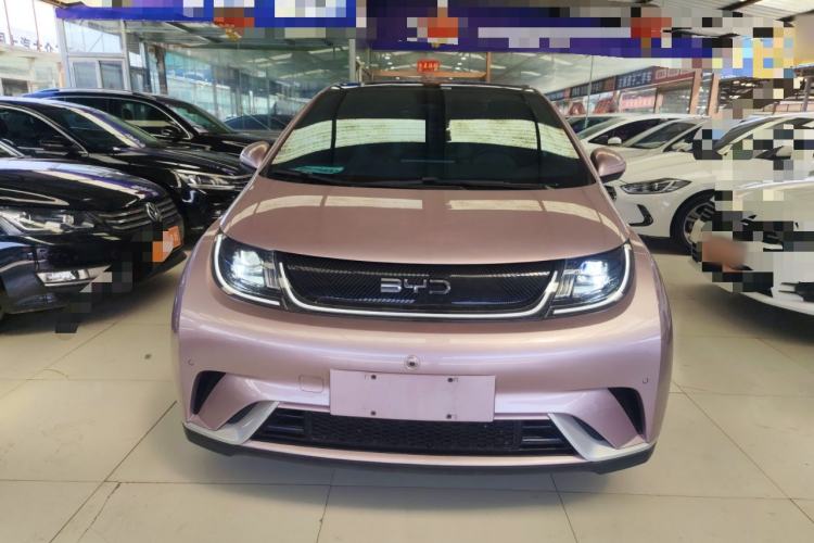 Used BYD Dolphin 2024 Honor Edition 420km Fashion Version Front