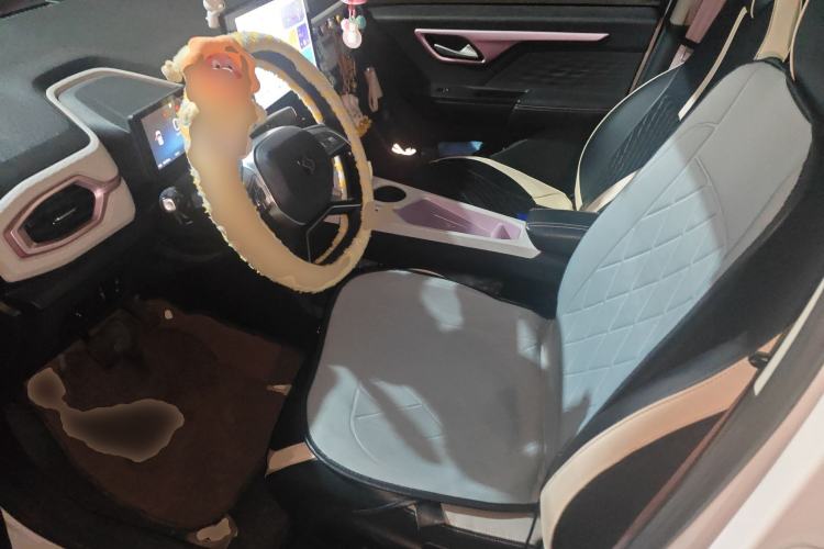 Used SOL E10X 2022 Flower Fairy Design Sunflower
