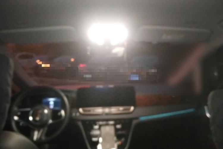 Used Hongqi HQ9 PHEV 2024 2.0T Four-Wheel Drive Luxury Edition Headliner