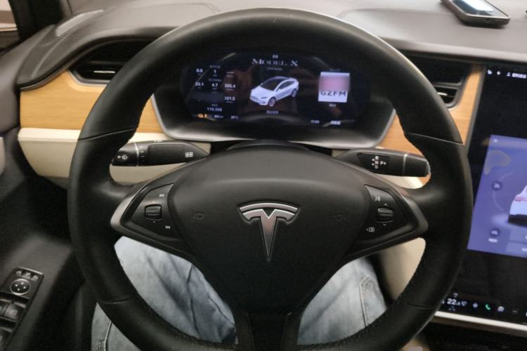 Used Tesla Model X 2019 Long-Range Version
