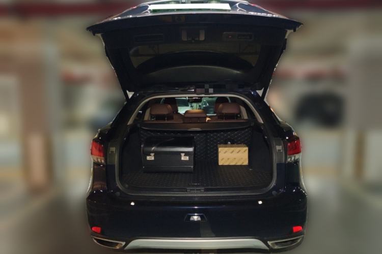 Used Lexus RX 2020 Revised Version 300 Two-Wheel Drive Elite Edition