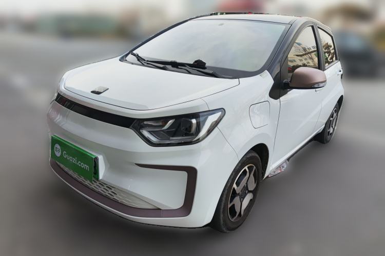 Used SOL E10X 2022 Flower Fairy Style Baby's Breath