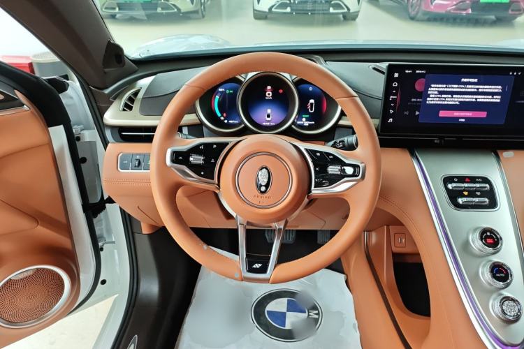 Used ORA Lightning Cat 2024 Dark Night Edition 555km Prestige Version
