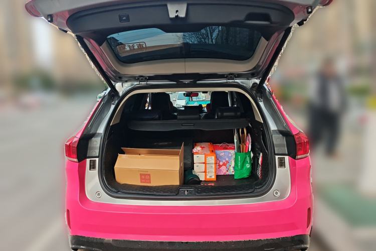 Used Wey VV6 2021 2.0T Two-Wheel Drive Smart Protection+