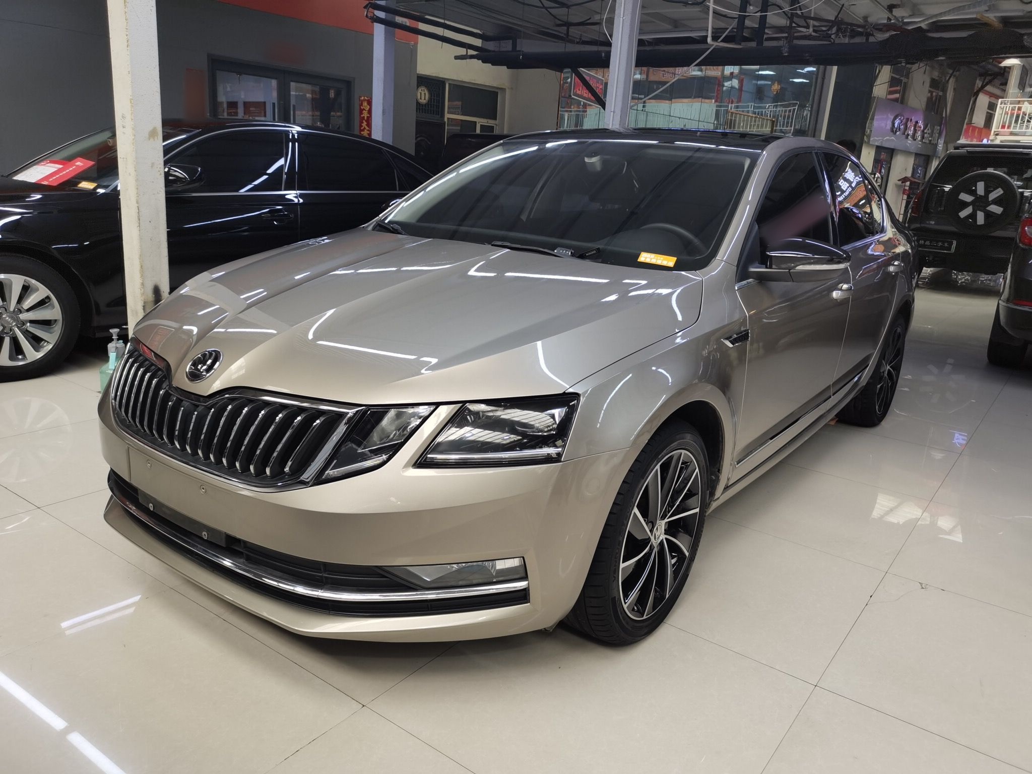 Parte inferior delantera