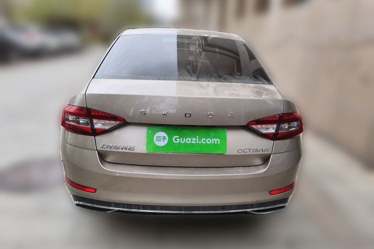 Used Skoda Octavia 2019 1.5L Automatic Smart Drive Luxury Edition China V Standard Rear