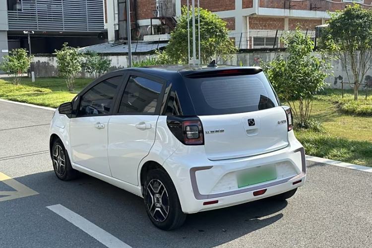 Used SOL E10X 2022 Flower Fairy Design Four-Leaf Clover