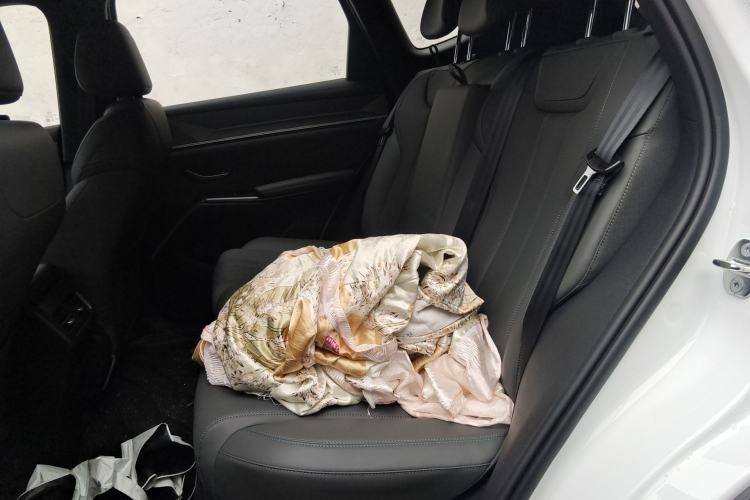 Used BYD Song Pro New Energy 2026 Model DM-i 220KM Beyond Version Left Rear Seat