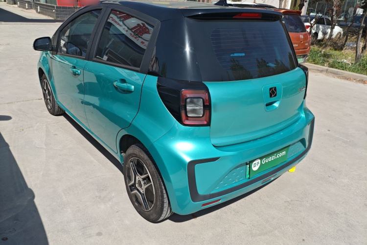 Used SOL E10X 2022 Flower Fairy Design Four-Leaf Clover
