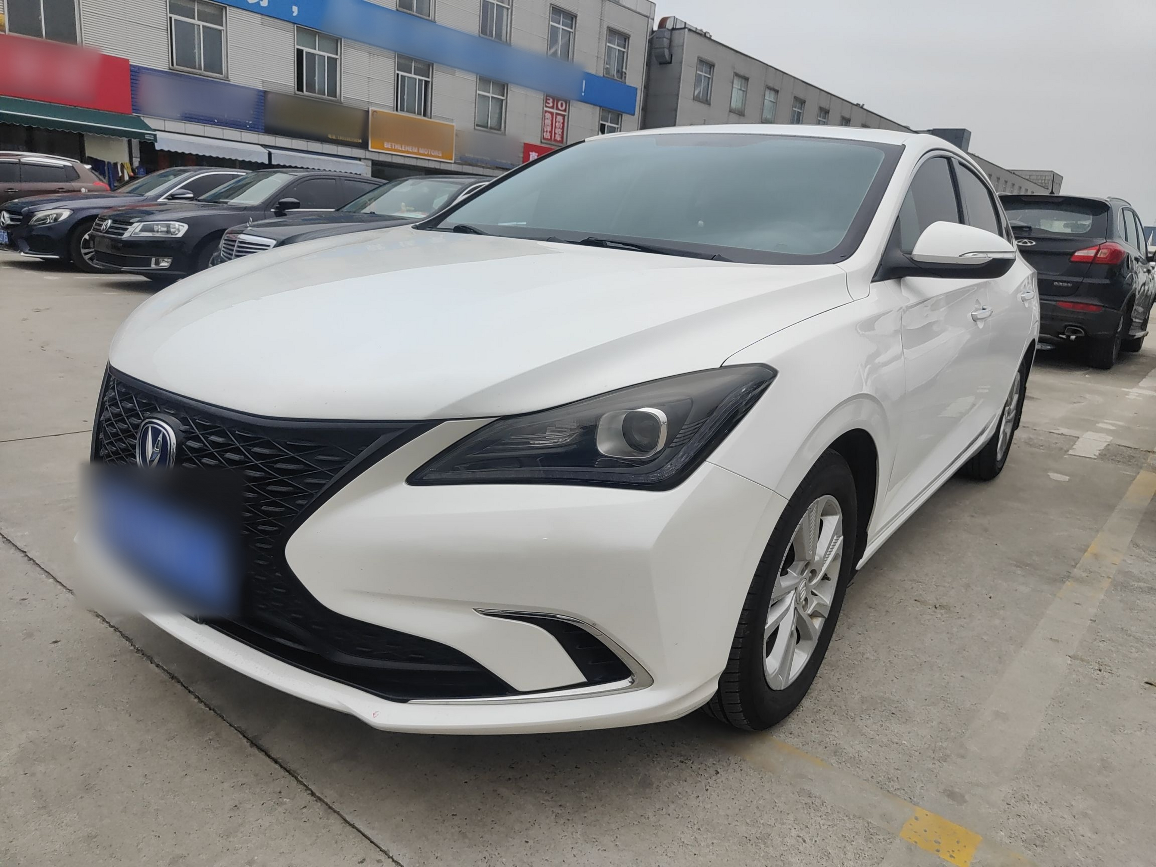 Parte inferior delantera