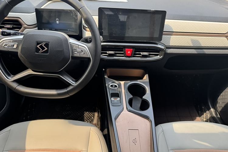 Used SOL E10X 2022 Flower Fairy Design Four-Leaf Clover