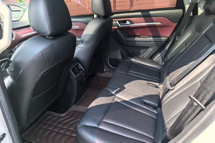 Used Haval H6 Coupe 2018 Red-Label 1.5T Automatic Two-Wheel Drive Ultra-Luxury Model Left Rear Seat