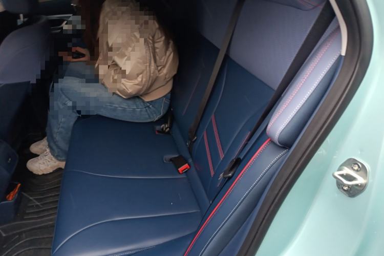 Used Geometry E Firefly 2023 401KM Linglong Tiger 5-Seater
