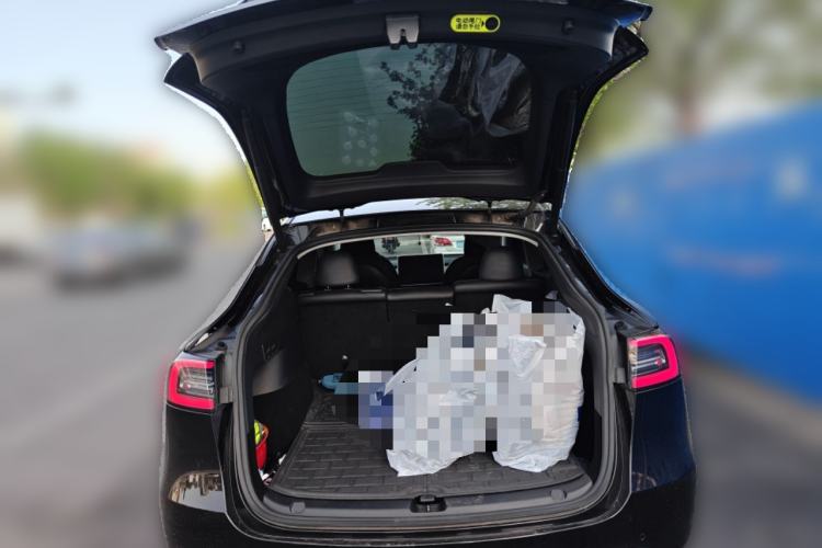 Used Tesla Model Y 2021 Standard Range Rear-Wheel Drive Version