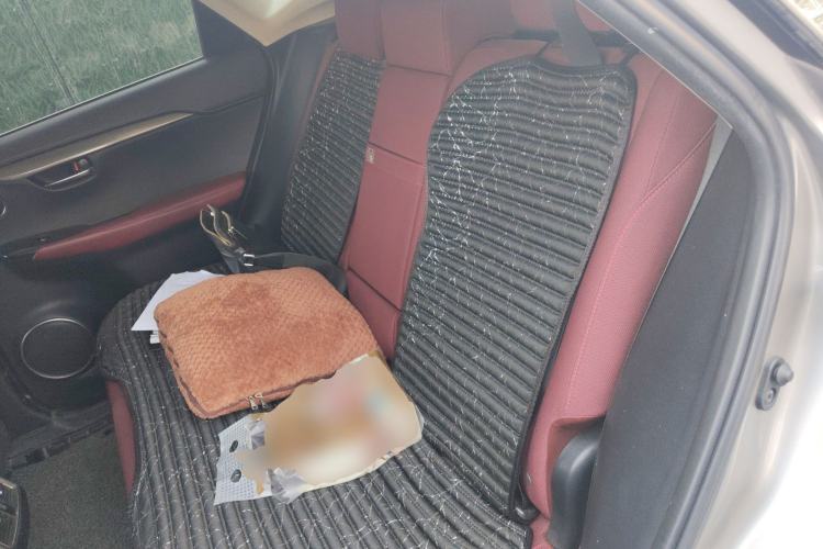 Used Lexus NX 2020 200 Front-Wheel Drive Freeline Edition China VI Standard