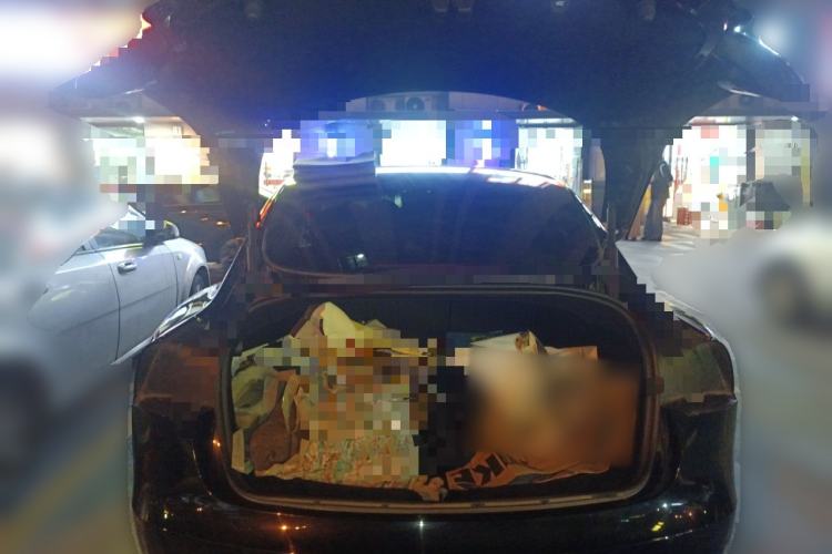 Used Tesla Model 3 2023 Rear-Wheel-Drive Version
