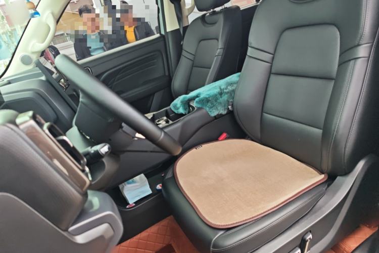 Used Haval Raptor New Energy 2024 Hi4 145 Cross-Over Edition Left Front Seat