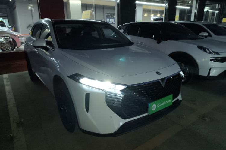 Used Venucia V 2021 260T Tianwang Edition
