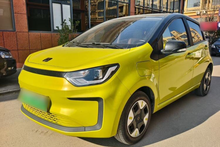 Used SOL E10X 2022 Flower Fairy Design Four-Leaf Clover